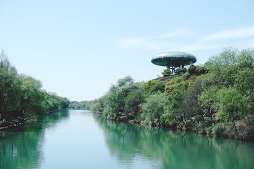 A river with a green tree and a UFO