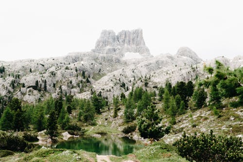 Foto d'estoc gratuïta de a l'aire lliure, aigua, alt