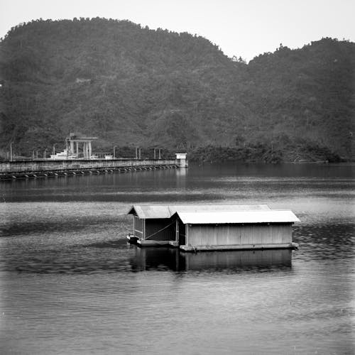 Foto profissional grátis de água, ao ar livre, árvore