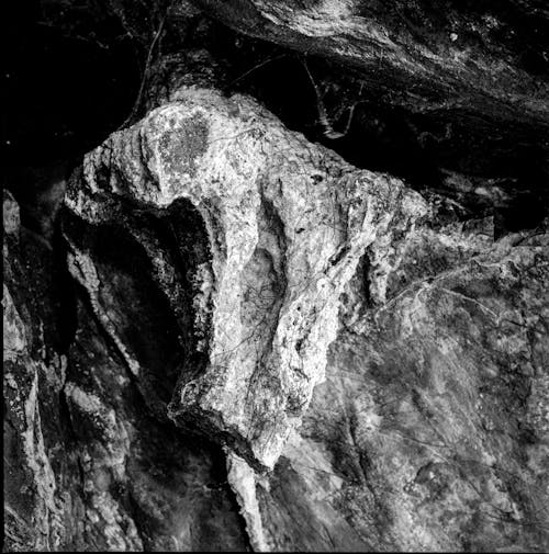 Black and White Close-up of a Rough, Rocky Surface