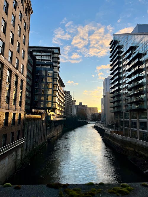 Free stock photo of buildings, manchester, nature