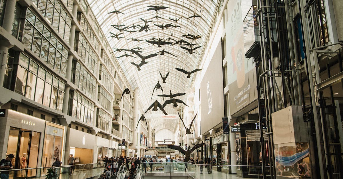 Influencer Marketing Platforms in Canada