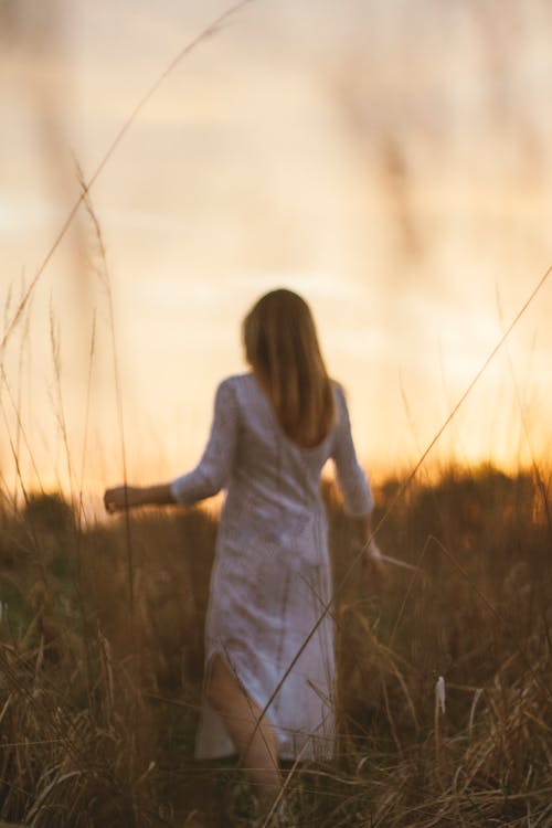 alan, altın rengi gün batımı, boho chic içeren Ücretsiz stok fotoğraf