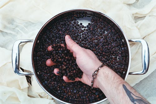 A person's hand holding a pot of coffee beans