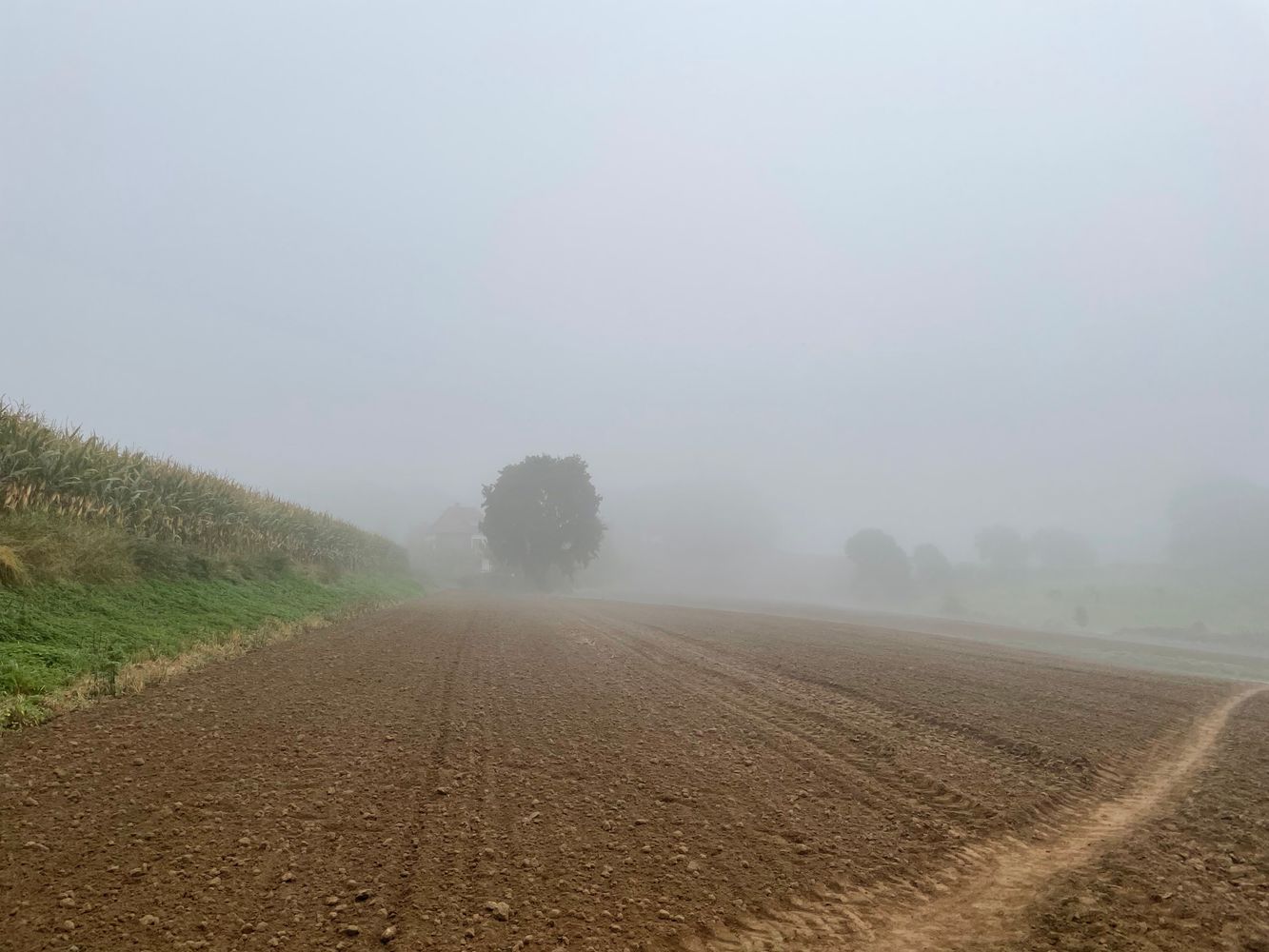 Good Ground Field Ground Field Photos, Download The BEST Free Ground Field Stock Photos ...