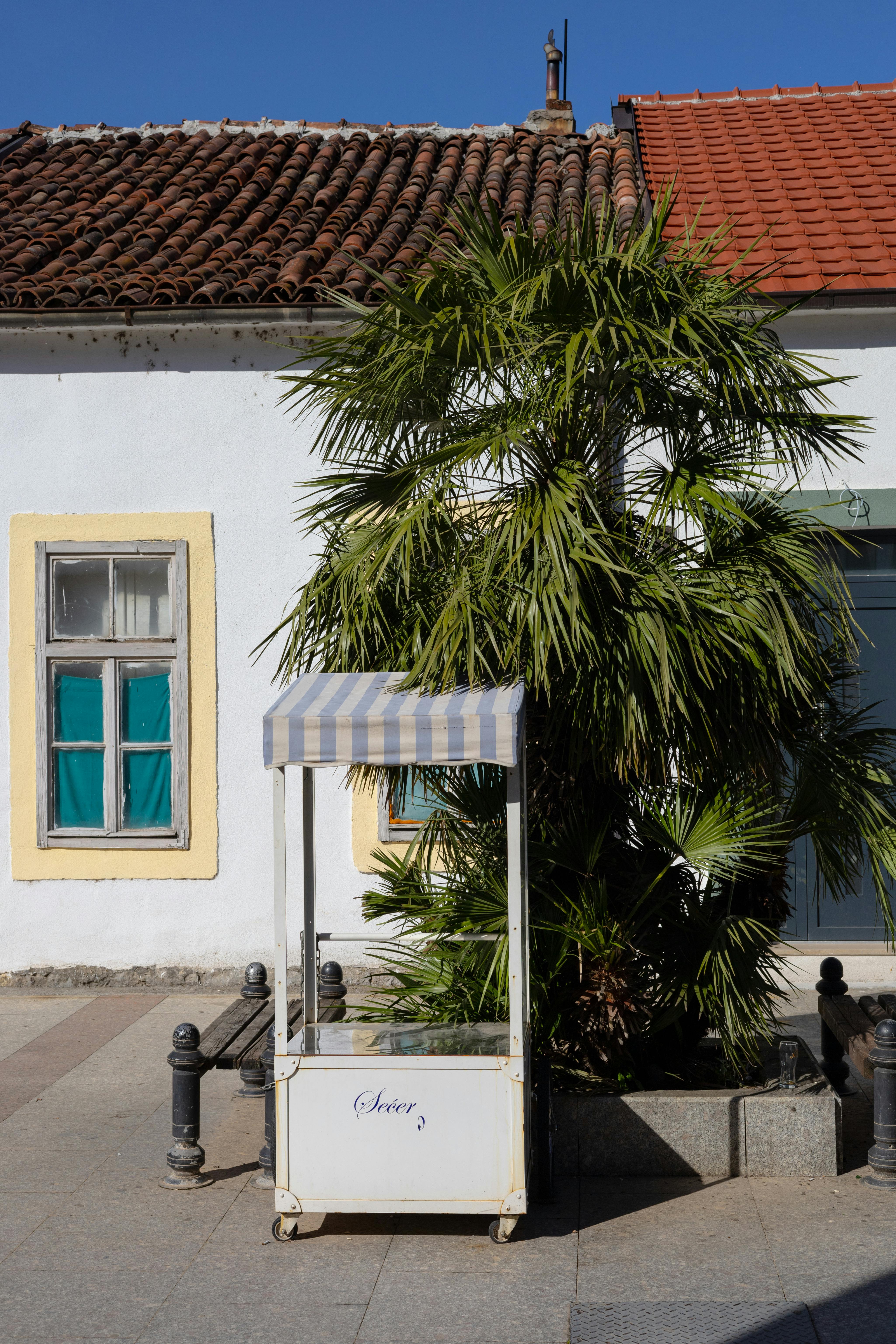 A quaint urban scene featuring a palm tree and vintage cart on a sunny day.