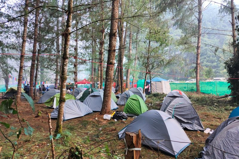Outdoor forest camping scene with multiple tents and trees during daytime.