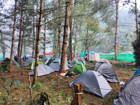 Outdoor forest camping scene with multiple tents and trees during daytime.