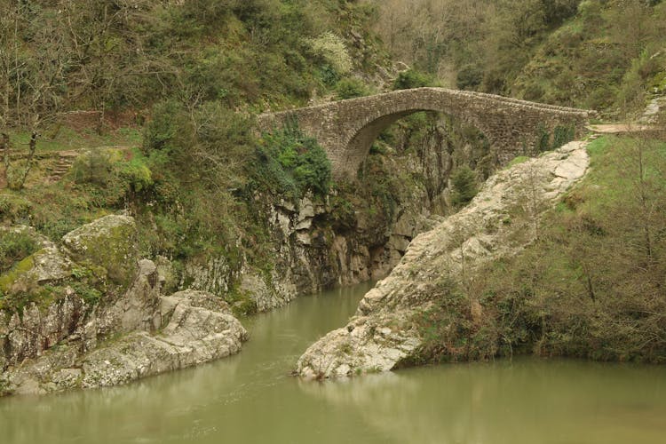 Medieval Stone Bridge Over The River