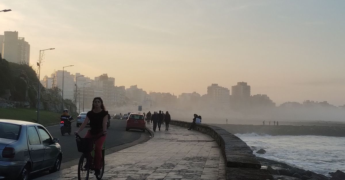 El frente frío 44 mantendrá un pulso de contrastes en el clima de México hoy El frente frío 44 mantendrá un pulso de contrastes en el clima de México hoy