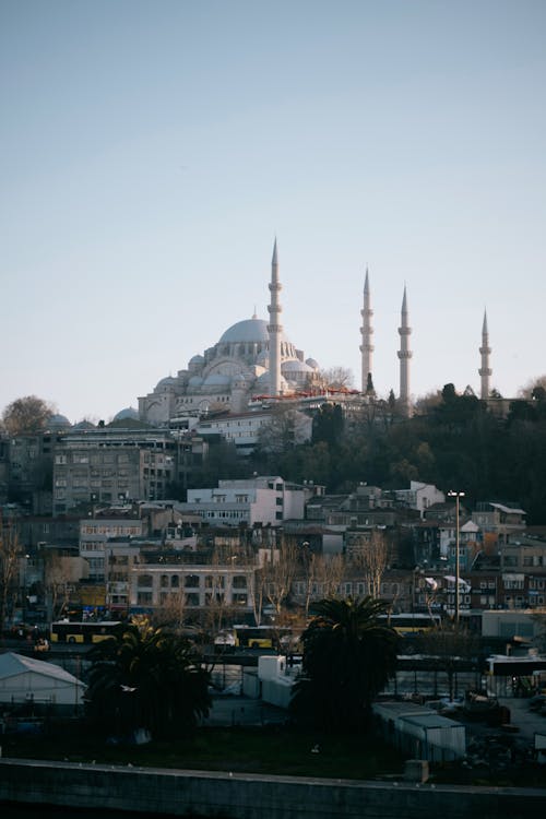 Ilmainen kuvapankkikuva tunnisteilla islam, Istanbul, kalkkuna