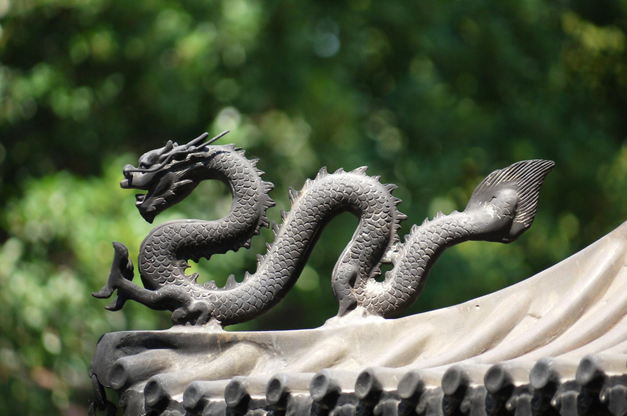 Ai Généré Dragon Chinois Des - Image gratuite sur Pixabay - Pixabay