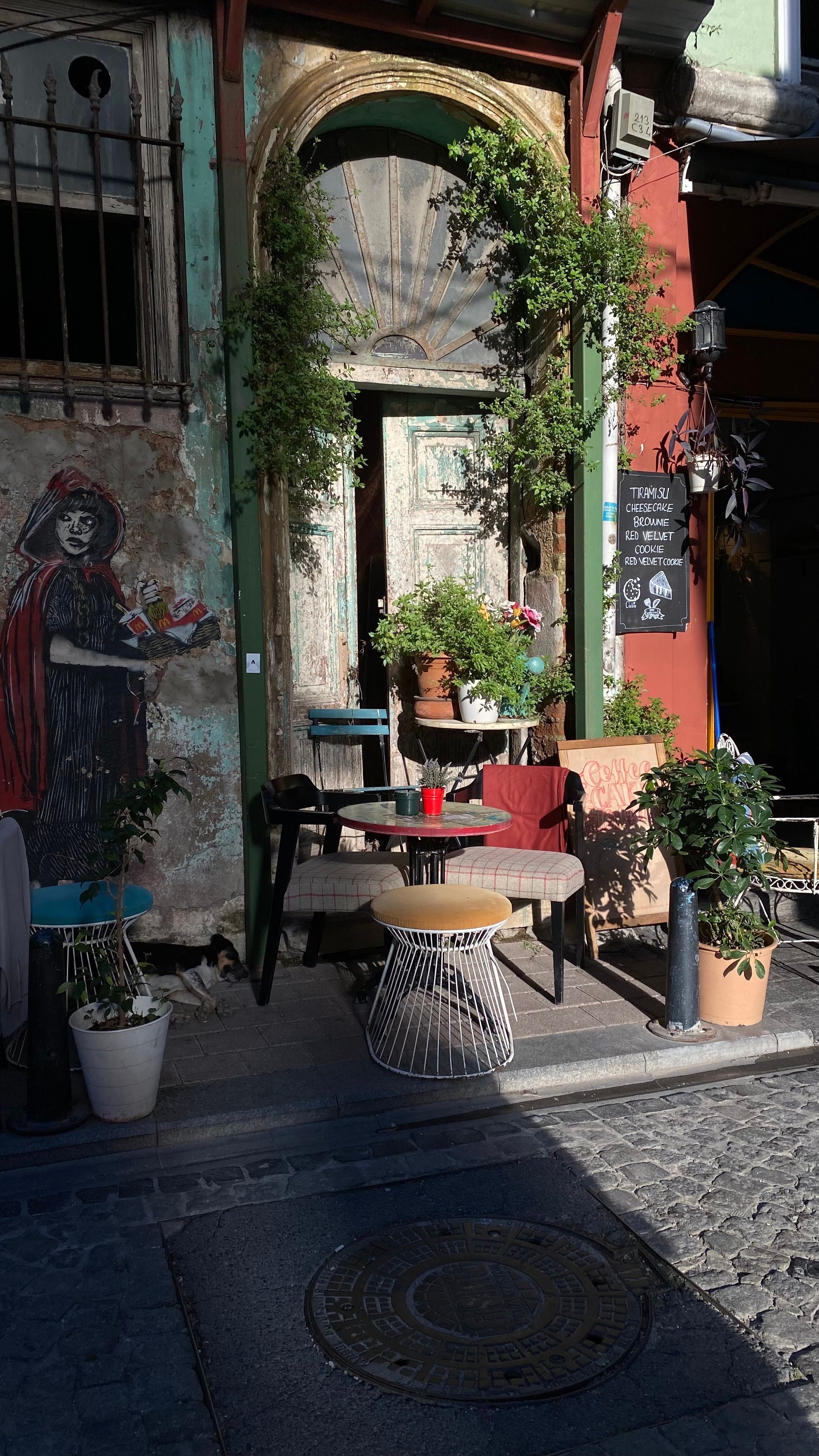 Gratis stockfoto met artistieke muurschildering, bakstenen gebouw, bloempotten Stockfoto