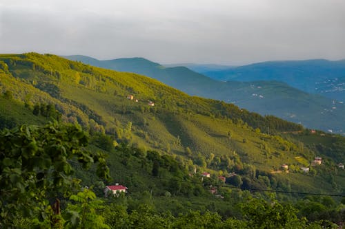 경치, 농촌의, 산의 무료 스톡 사진