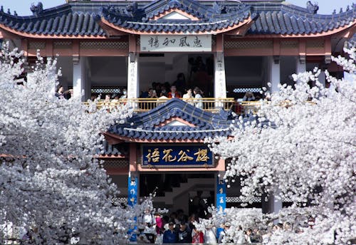 Foto stok gratis Cina, landmark lokal, musim semi