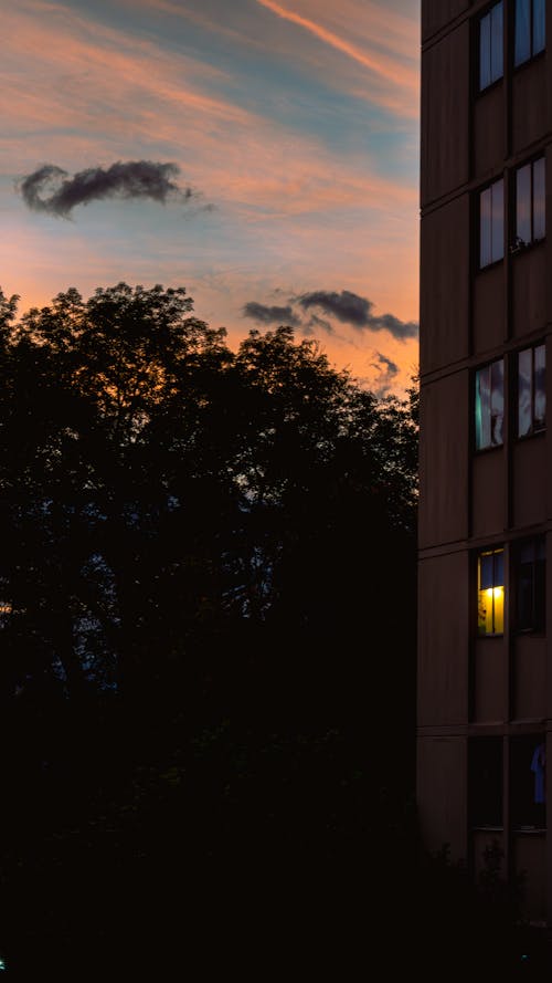 빛에 대항하여, 아트 디셔, 창문의 무료 스톡 사진