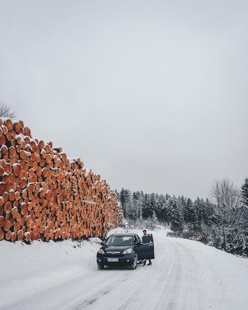 Black Vehicle on Snowfield Near Logs