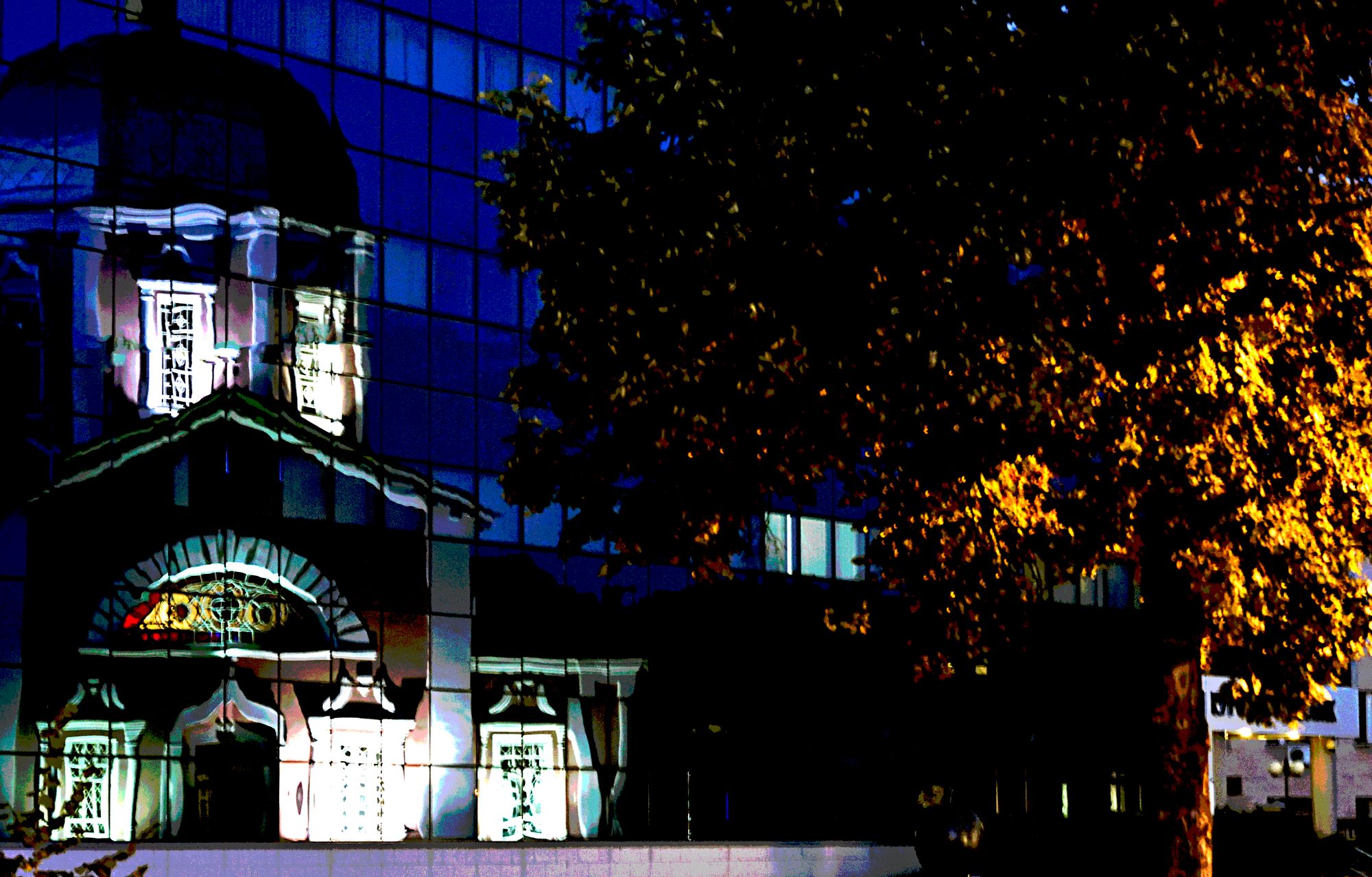 Contact Us Banner