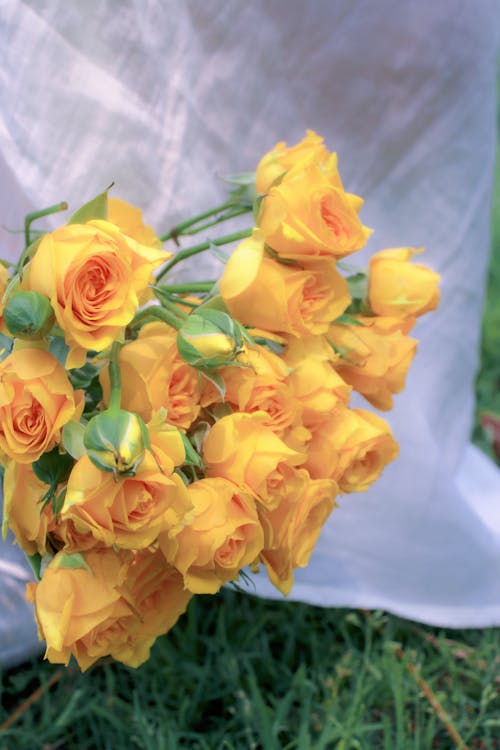 Бесплатное стоковое фото с букет, вертикальный выстрел, желтые розы