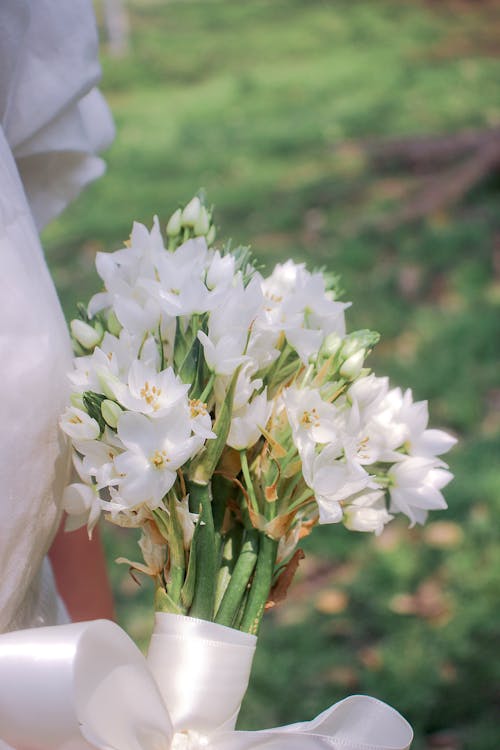 Immagine gratuita di bouquet, decorazione, erba