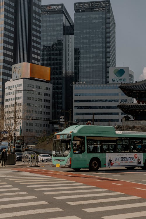 Immagine gratuita di attraversamento pedonale, autobus urbano, Corea del Sud