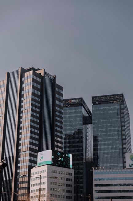 신한 롯데손보 인수, 배당 변수는 자본투입 규모