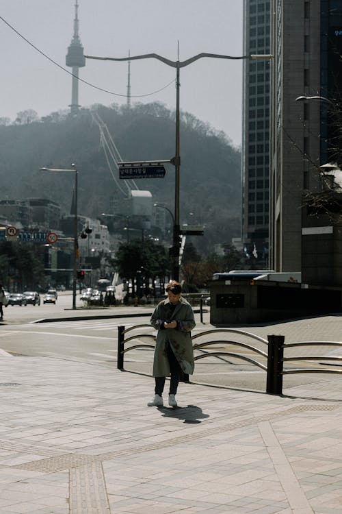 Foto stok gratis jalan-jalan kota, kedudukan, Korea Selatan