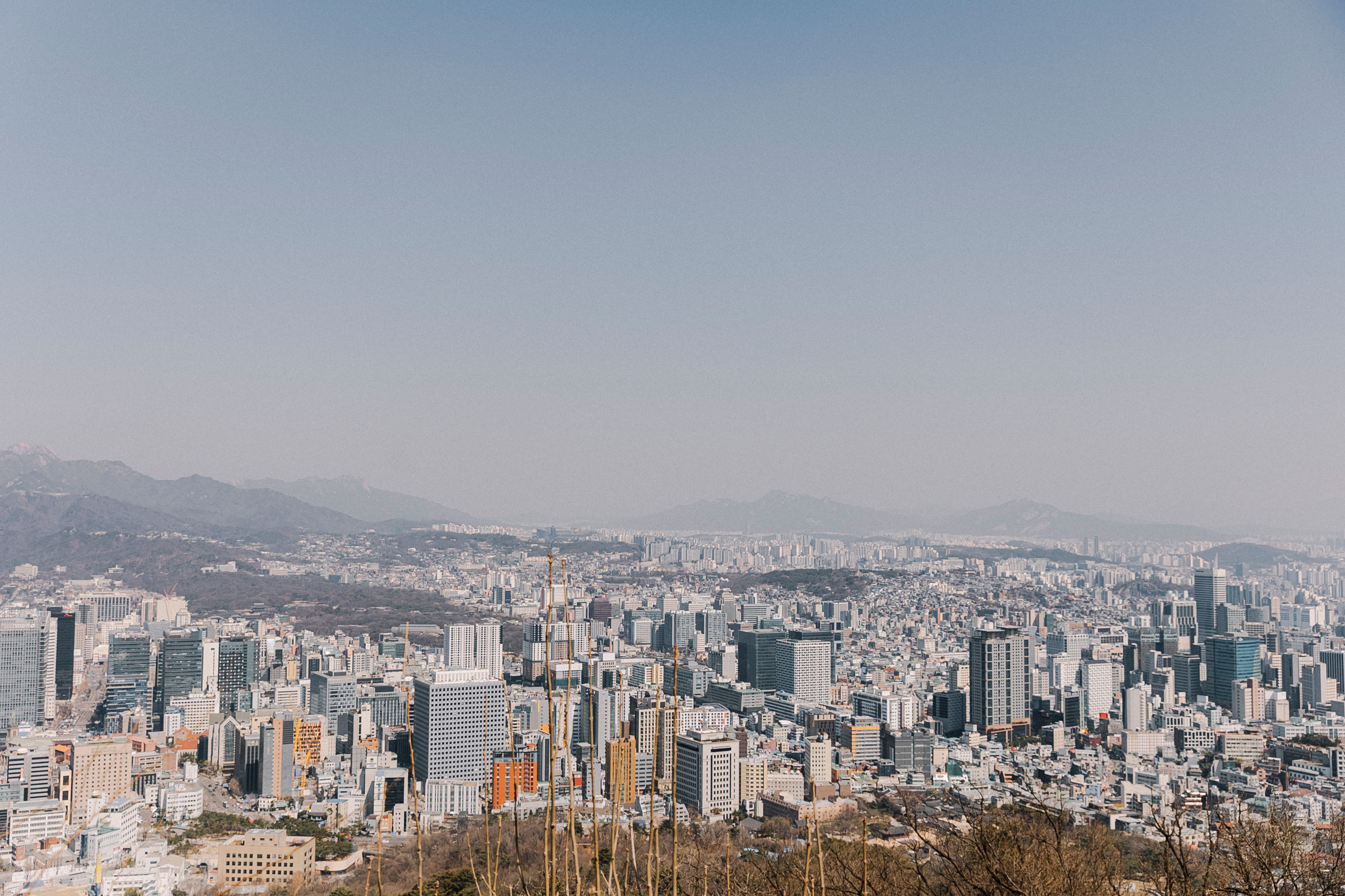 global design inspiration