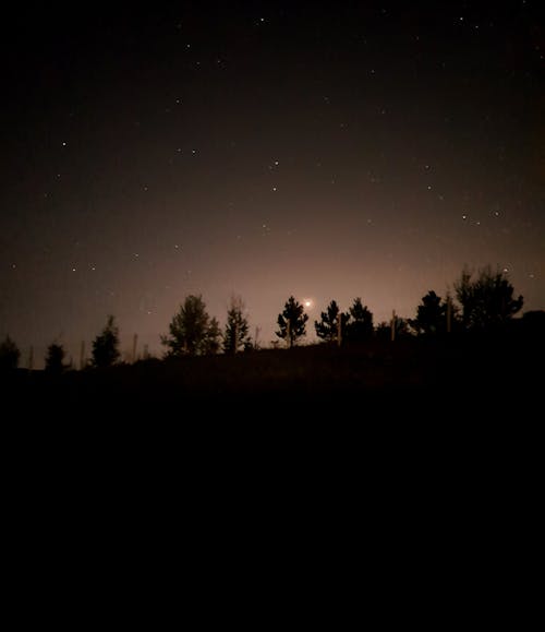 Foto profissional grátis de árvores, atar, campo