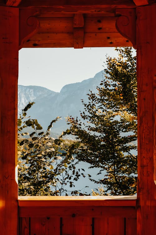 Foto stok gratis Daun-daun, jendela, kayu