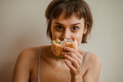 Free stock photo of hamburger, photoshot