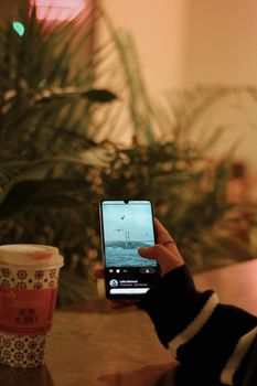 Person looking at smartphone with coffee cup, surrounded by lush indoor plants.