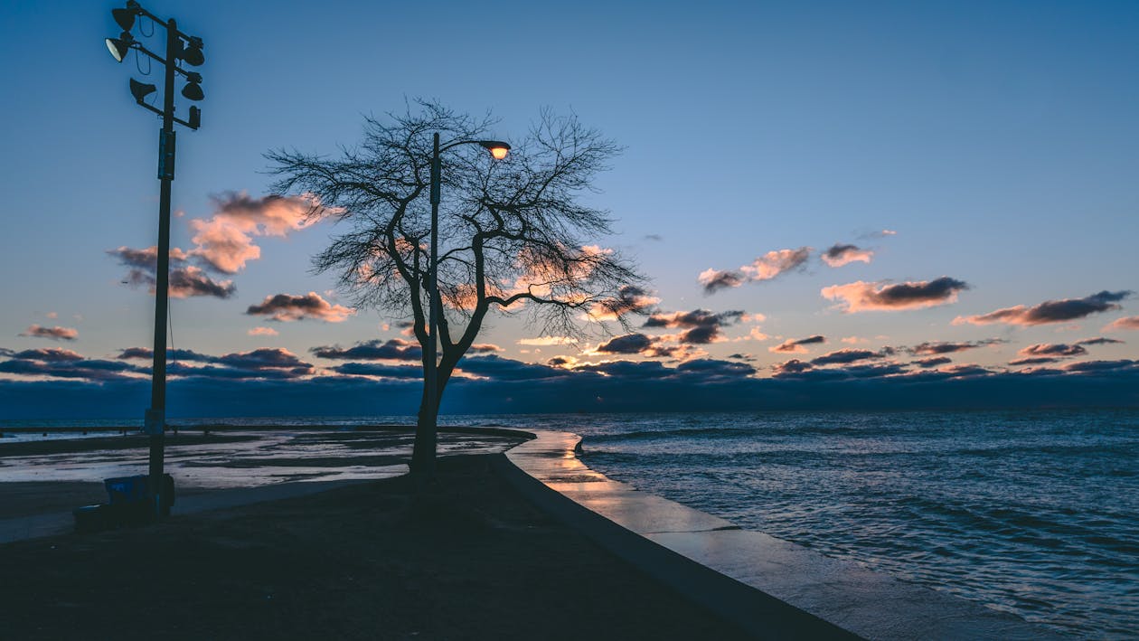 夜明けの海の風光明媚な景色 無料の写真素材