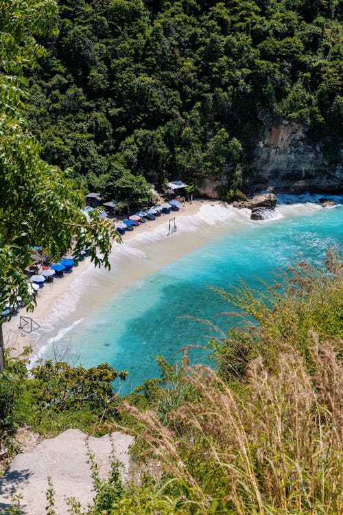 A beach with blue water and green trees