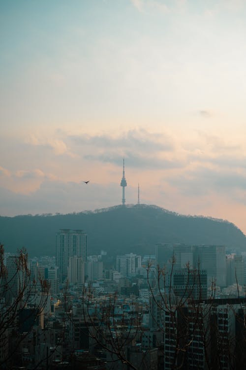 A view of seoul from a hilltop