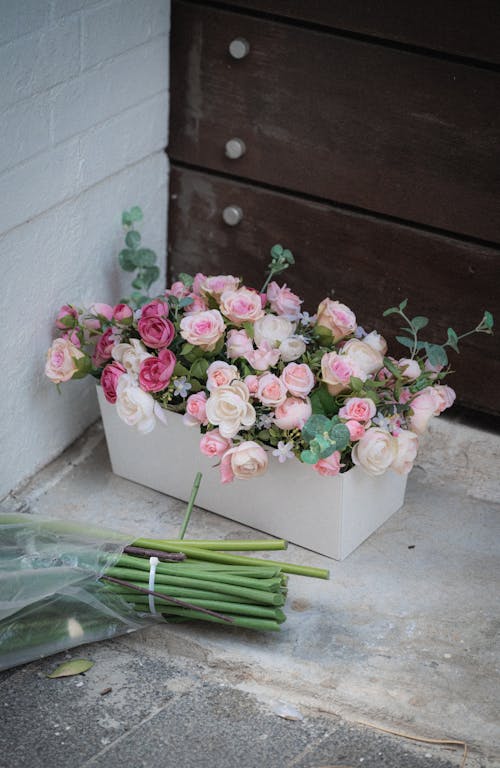 Foto stok gratis bunga-bunga, dekoratif, komposisi