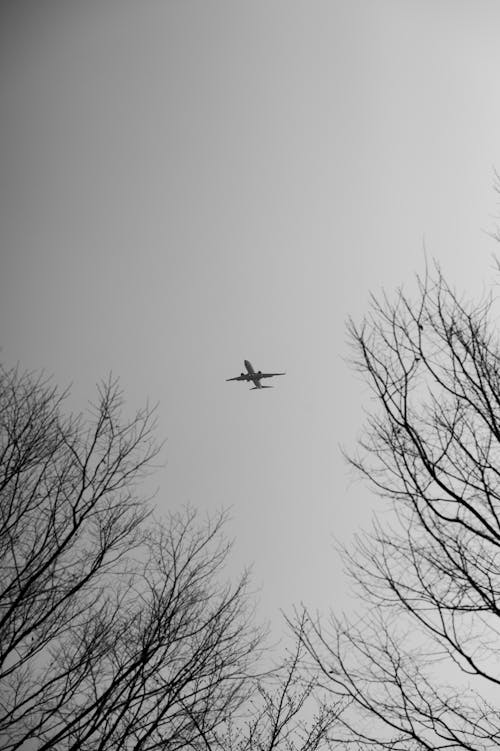 Základová fotografie zdarma na téma busan, eulsukdo, Korea