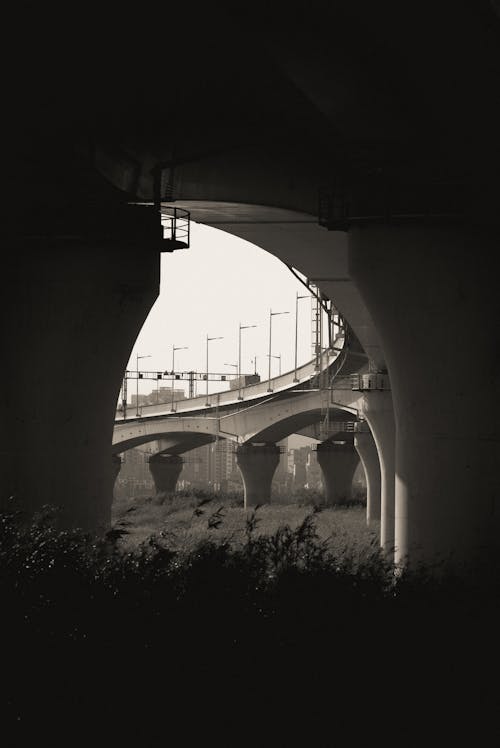 Δωρεάν στοκ φωτογραφιών με αερογέφυρα, ασπρόμαυρο, γέφυρα