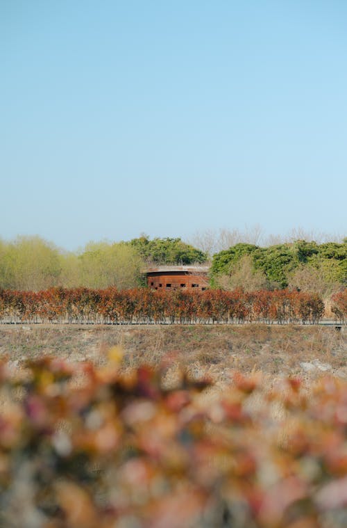 Foto profissional grátis de agricultura, água, ao ar livre