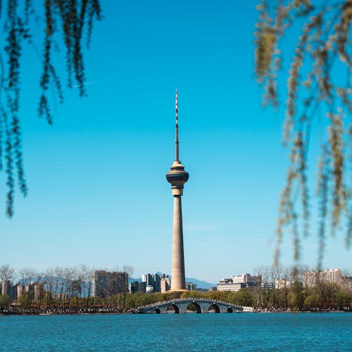 The tv tower is seen from the water