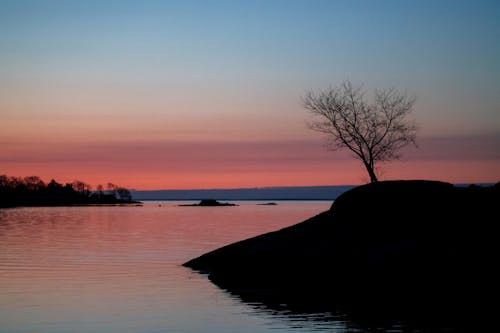 Foto d'estoc gratuïta de arbre, calma, llac