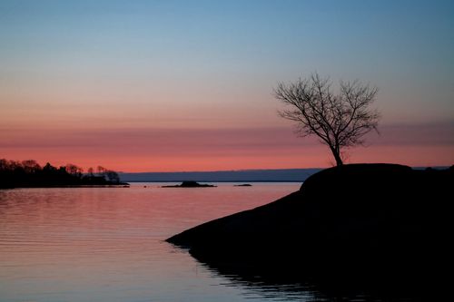 Free A calm lakeside view with a tree silhouette at sunset in Stamford, Connecticut. Stock Photo