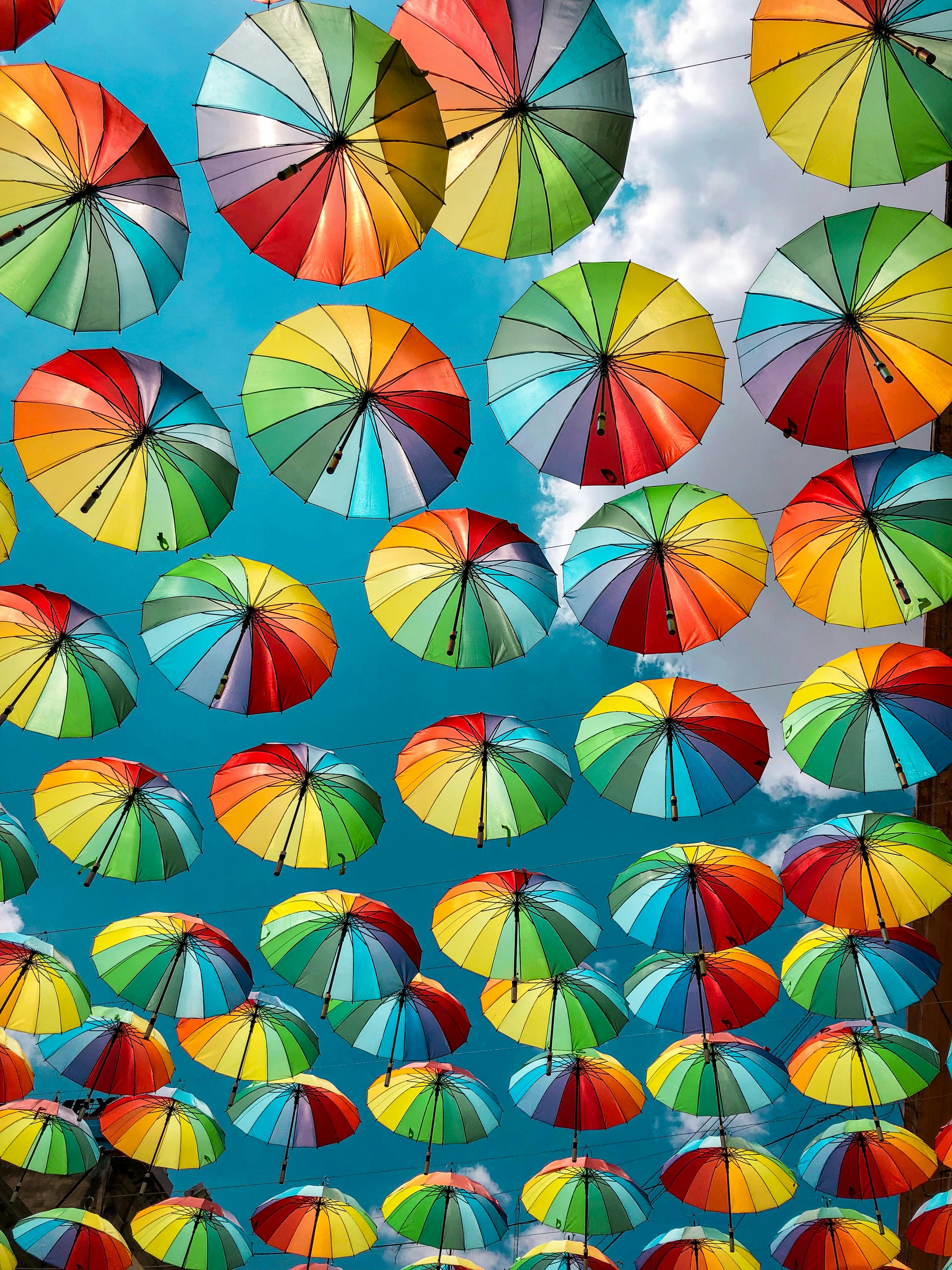 Colorful umbrellas suspended against a bright sky in Toluca, Mexico.