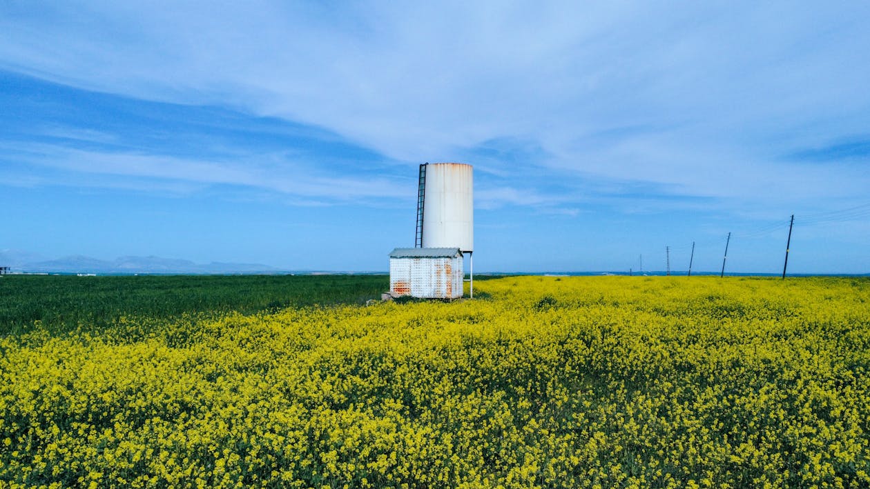 Silo in a Vast Springtime Meadow