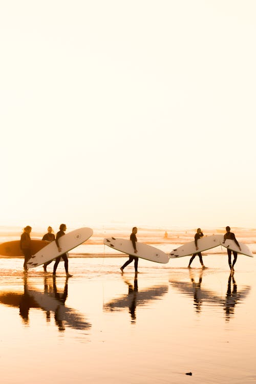 海灘衝浪反射沙子日落太陽夏天海浪海葡京里斯本