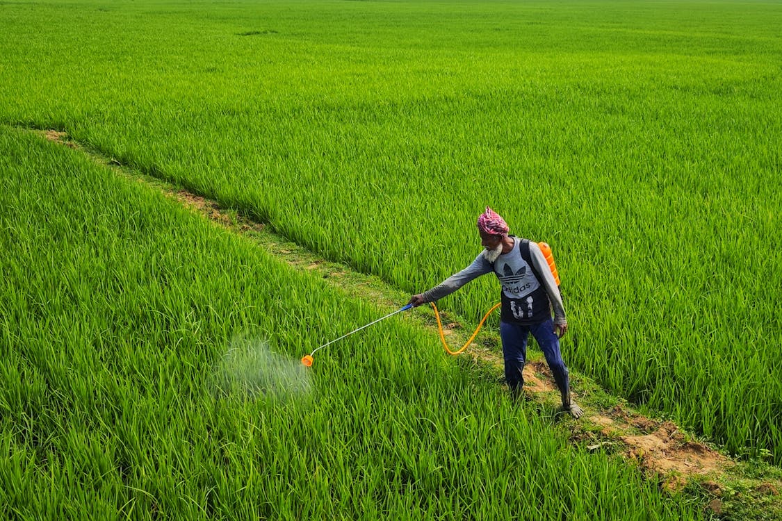 Immagine gratuita di agricoltura, anziano, campagna