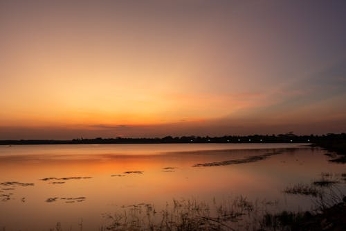 Gratis stockfoto met avond, bomen, dramatische hemel