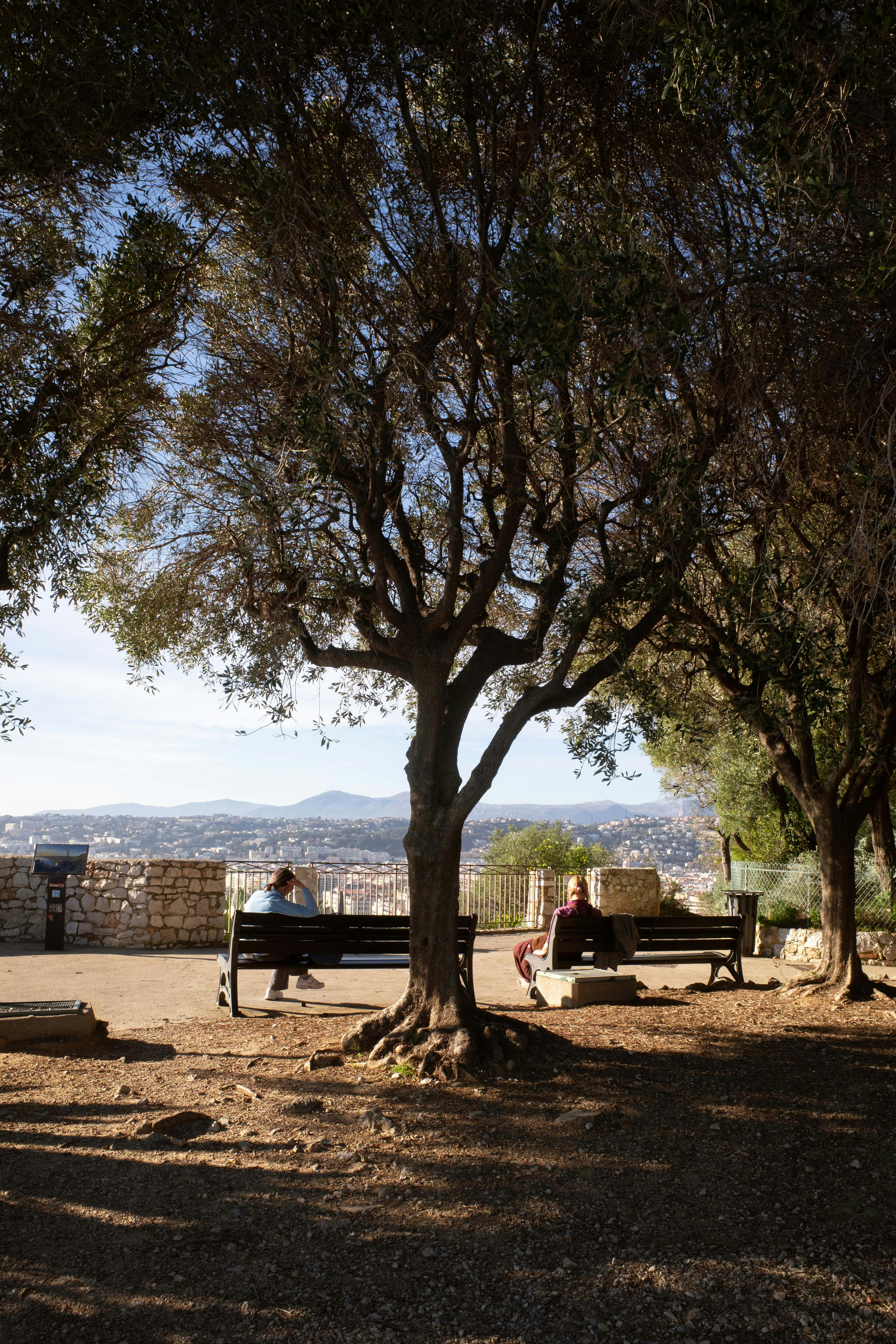 A tranquil park scene in Nice, France, showcasing benches and a cityscape under trees.