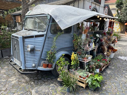 Foto profissional grátis de alameda, caminhão, carro