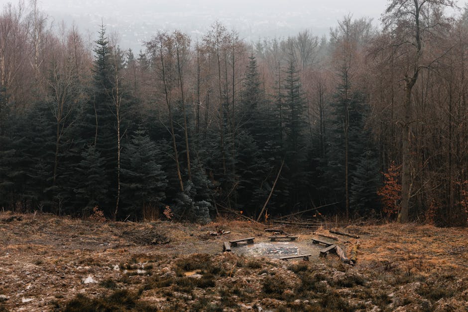 Haunted Trails and Ghostly Encounters in Nature
